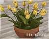H. Potted Tulips Plant