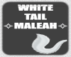 ✧ White Tail ✧
