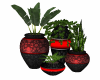 Red Black Pots + Plants