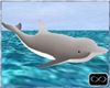 [CFD]CC Animated Dolphin