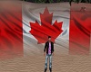 Canada Flag..trig Canada