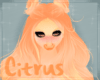 [N] Citrus Hair v4 F