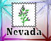 Nevada state flower