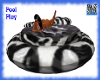 Zebra Pool Play