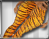 C|Bm Tiger Jean O