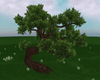 Romance Old Oak Tree 