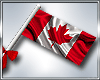 B* Canada Flag