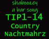 Shaboozey - a bar song