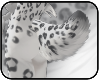 SnowLeopard-TailV4