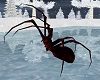 Big Spider Animated