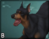 Doberman
