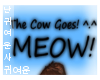 B|The Cow Goes! MEOW!