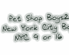 Pet Shop Boys-New York2