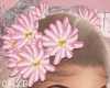 C~Pink Nova Crown