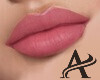 Rose Matte Lips