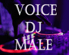 Voice Dj Male