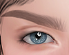 Brows Blonde