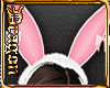 Fluffy Bunny Set *ED*