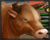 [FARM] Cattle cow brown