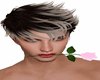 Pink Rose In Mouth