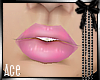 [AW] Dusky Lip Gloss