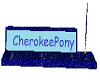 desk set CherokeePony