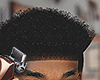 Shad Fro