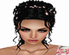 Naar B & cherry blossoms