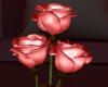 ☽ Glass Rose [WHITE]