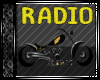Steelers Motorcycle Radi