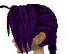 Purple Ed