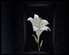 ☺S☺Wall Art
