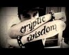 Cryptic Wisdom Blankie