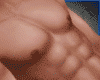 Boddy Scaller 100% Muscl