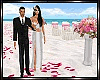 Furnished Beach Wedding