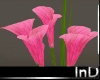 IN} ShabbyChic Lilies