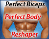 Perfect Biceps