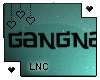 [LNC] Gangnam Style! HS