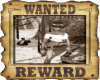 Wanted Poster Penny