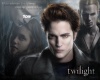 NEWTWILIGHT