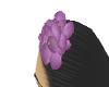 purple flower for hair