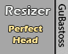 Perfect Head - Scaler