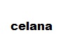 celana coklat