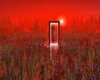 Enchanted Doorway V2
