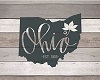 Ohio Canvas