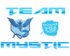 Team Mystic Vest