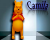 : Winnie the Pooh Costum