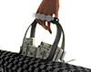 Shark Bag & Money