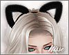n| Cute Cat Ears Black