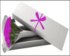 Pink Roses In The Box